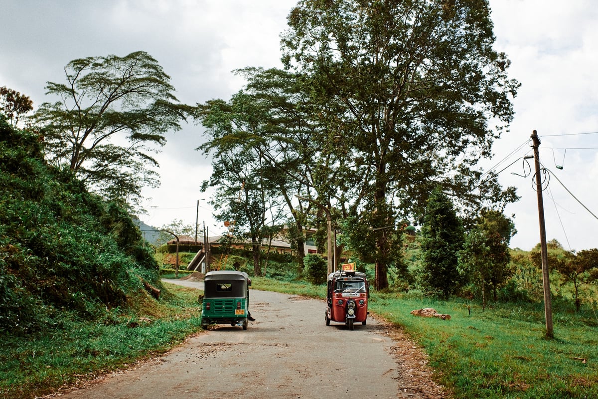 The Cost of Tea — Sri Lanka — frame